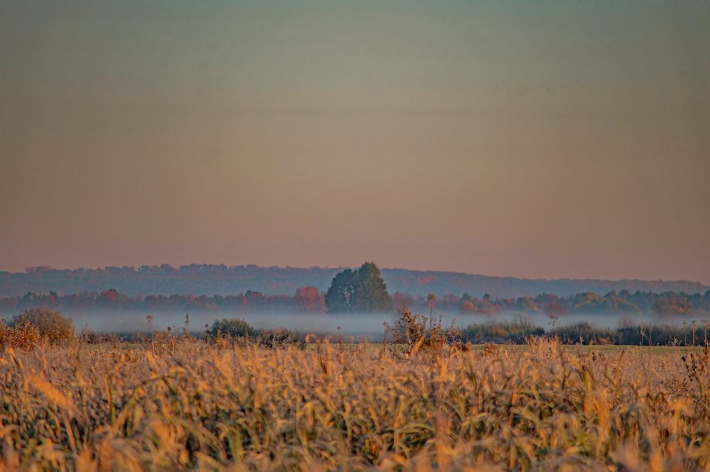Photograph by Алексей Сиваков