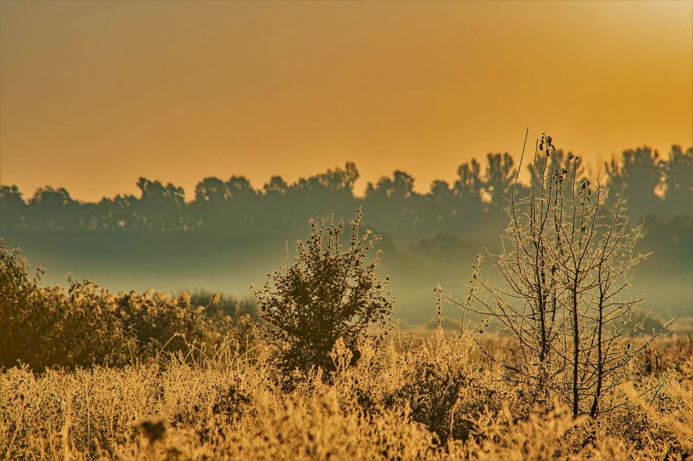 Photograph by Алексей Сиваков