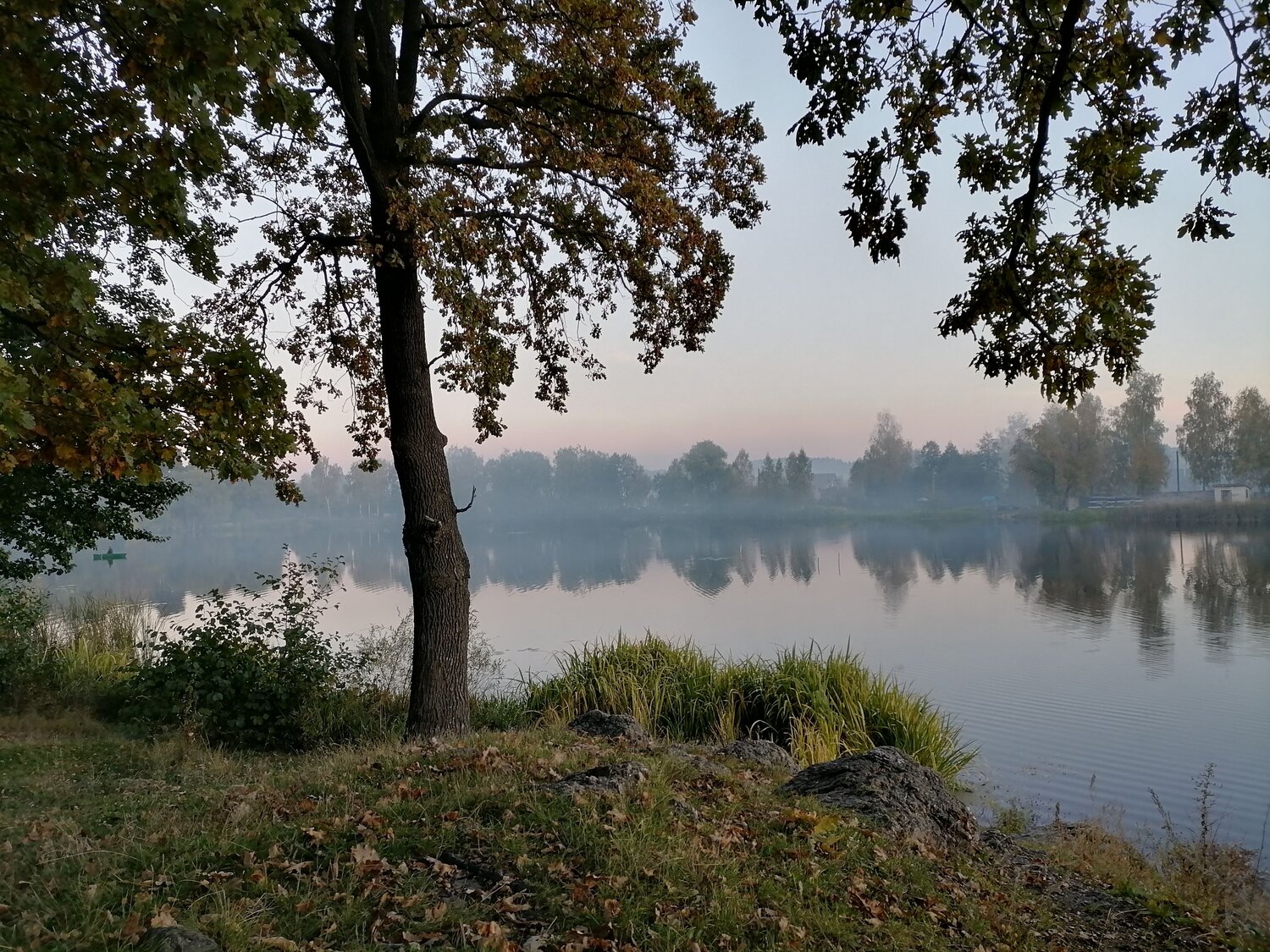 Photo #6699693