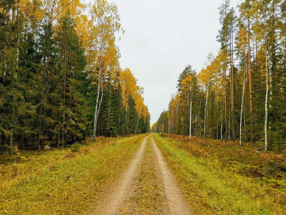 Photograph by Юрий Бирюков