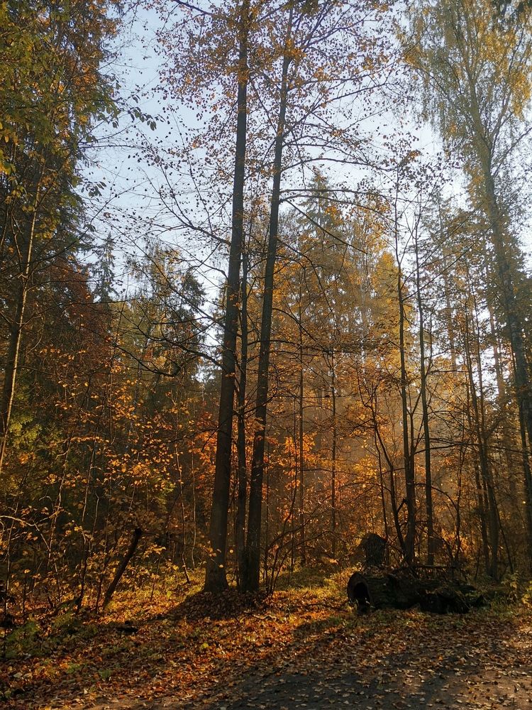 Photograph by Юрий Бирюков