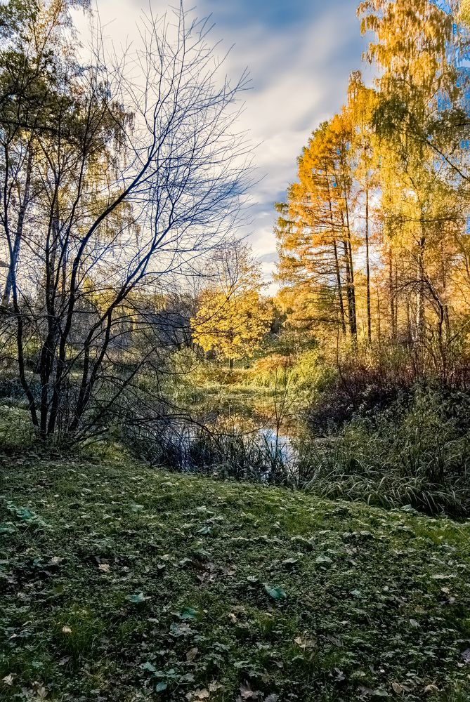 Photograph by Алексей Чеботарев