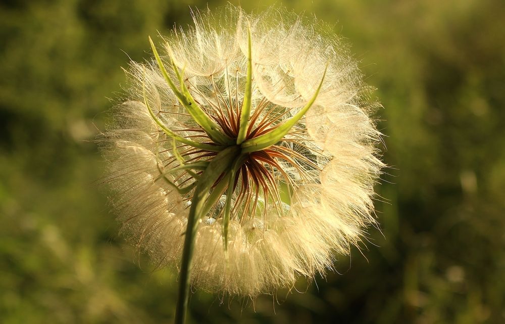 Photograph by Виктор Карпухин