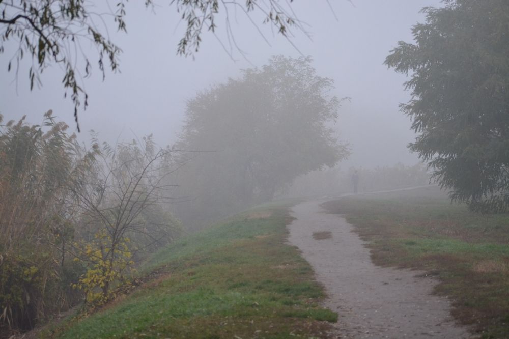 Photograph by Александр Усенко