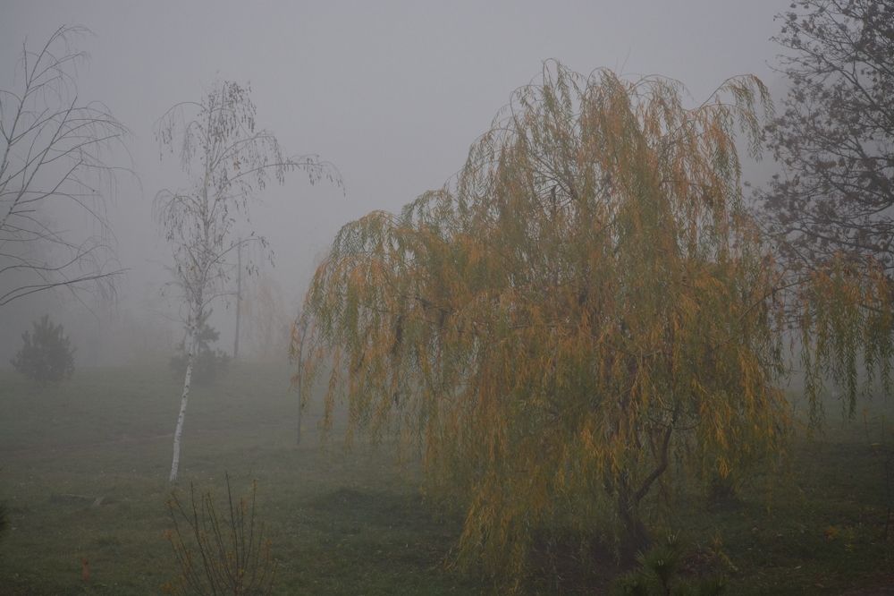 Photograph by Александр Усенко