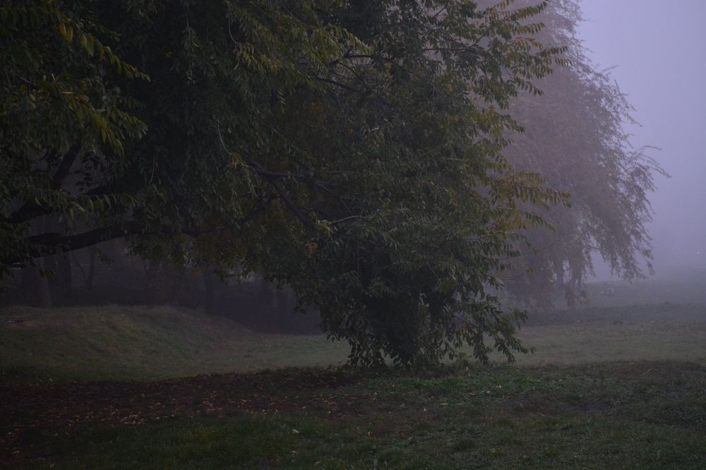 Photograph by Александр Усенко