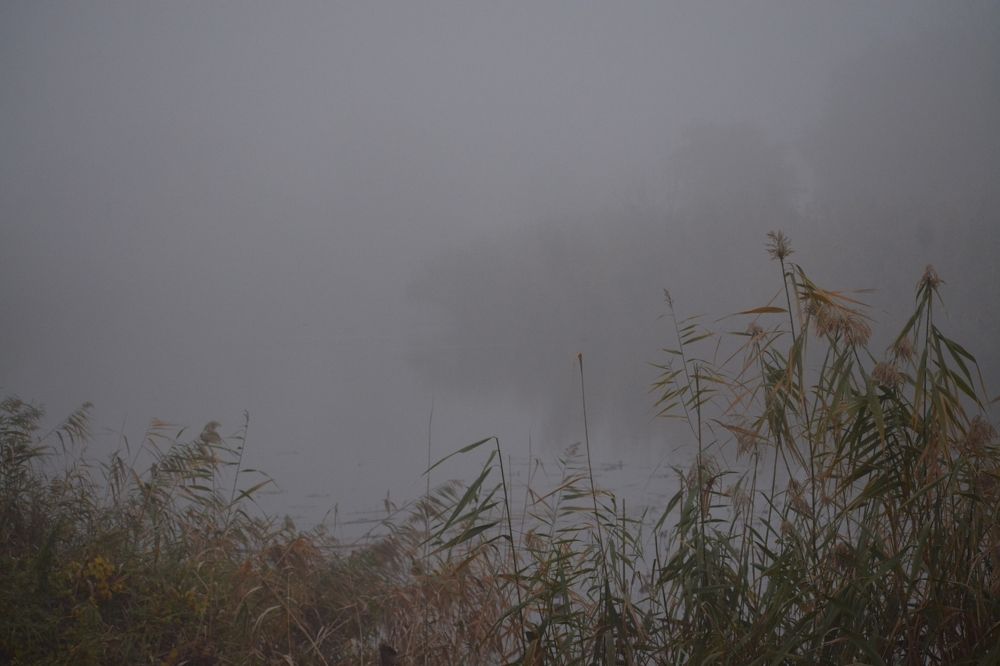 Photograph by Александр Усенко