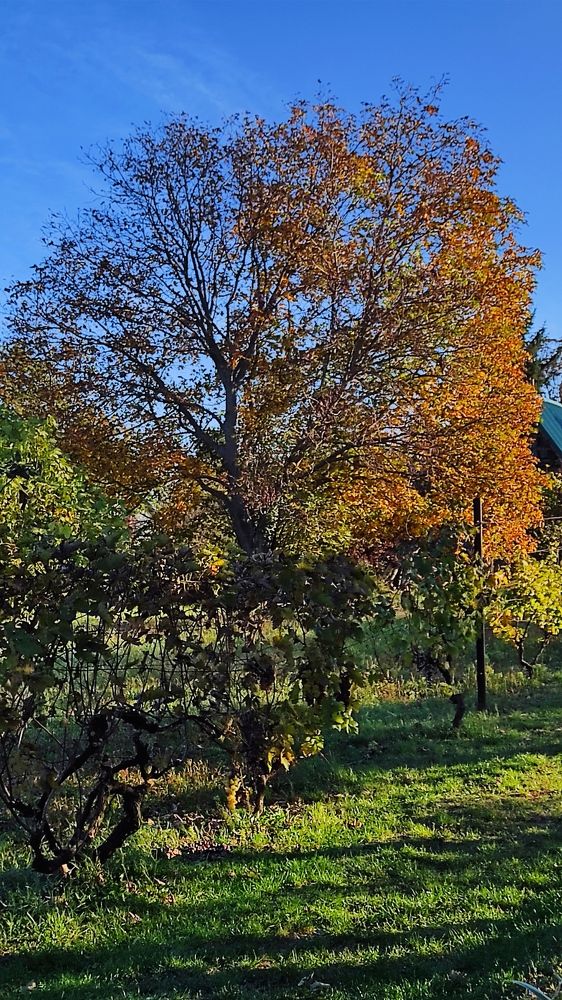 Photograph by Lidija Jevremovic