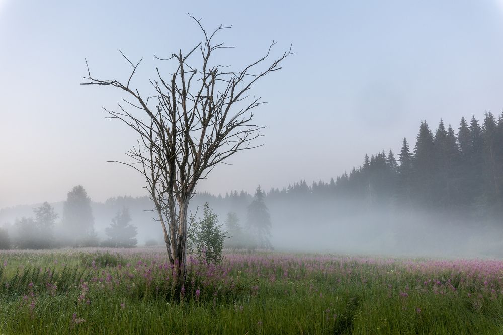 Photograph by Илья Юфа