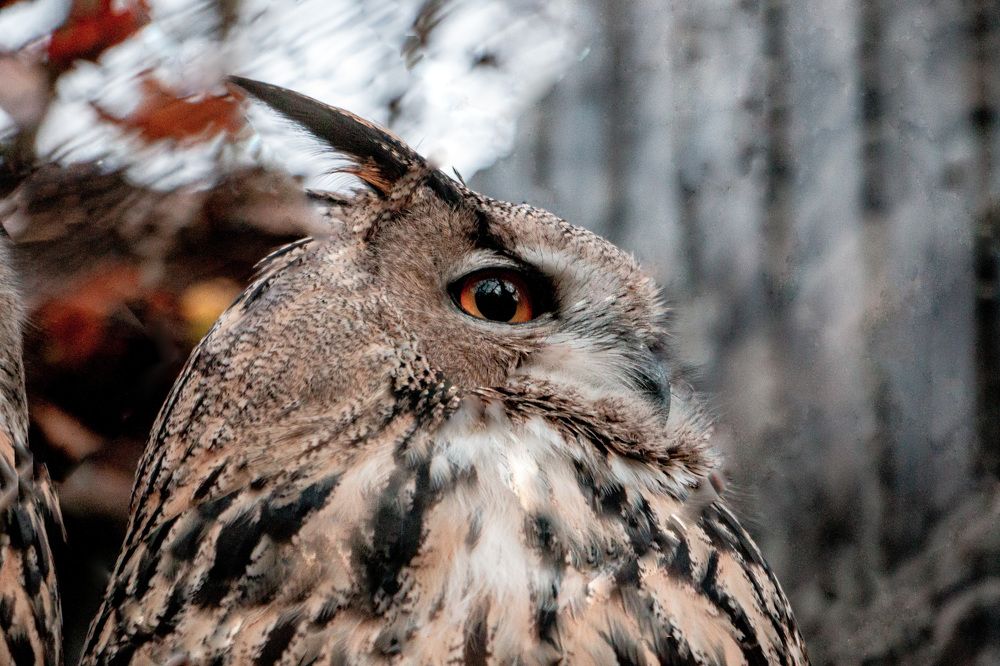 Photograph by Виталий