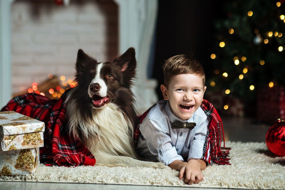 Photograph by Светлана Тимошенина