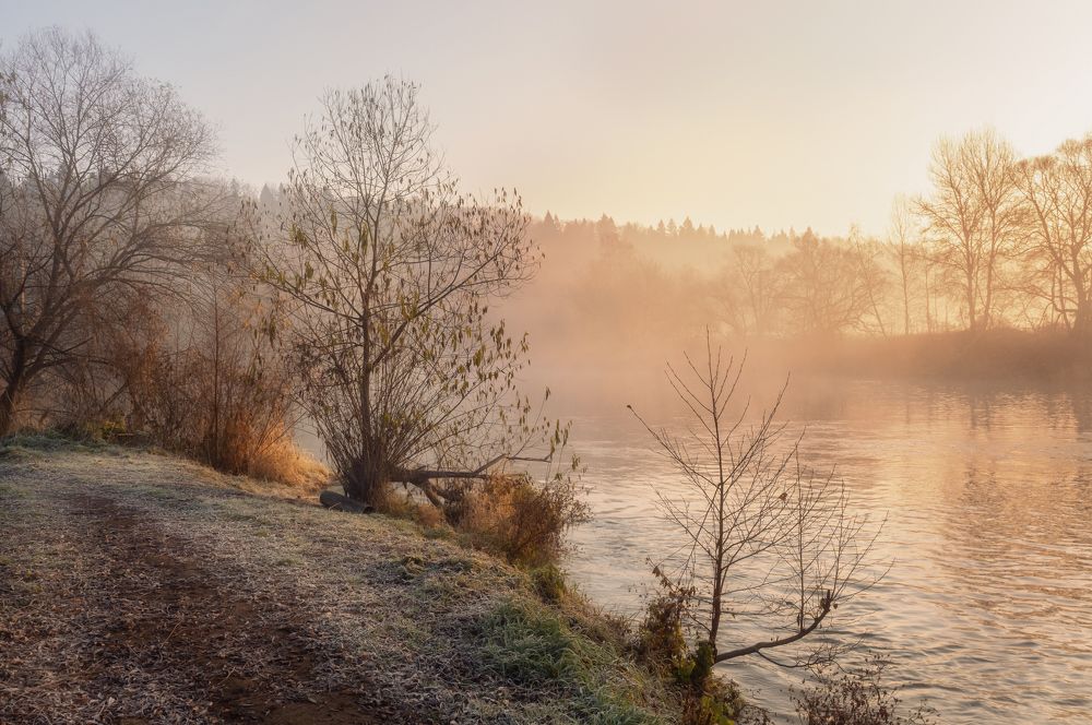 Photograph by Максим Мозжухин