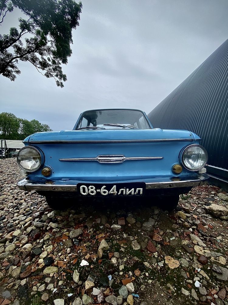 Photograph by Laura Simanaviciute