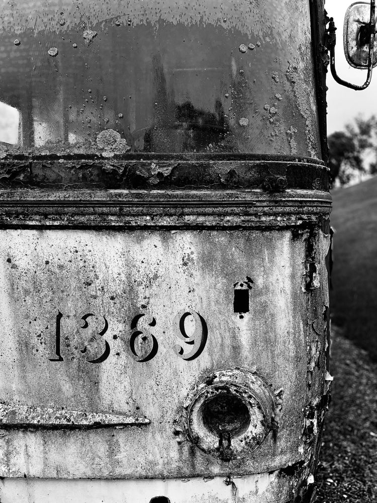 Photograph by Laura Simanaviciute