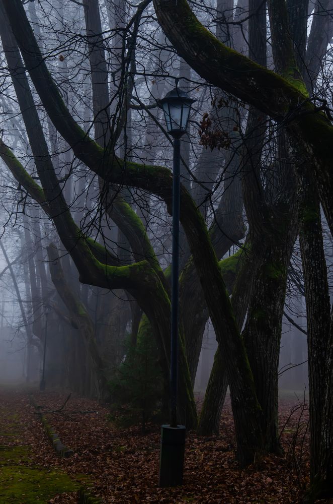 А premonition of a fairy tale.