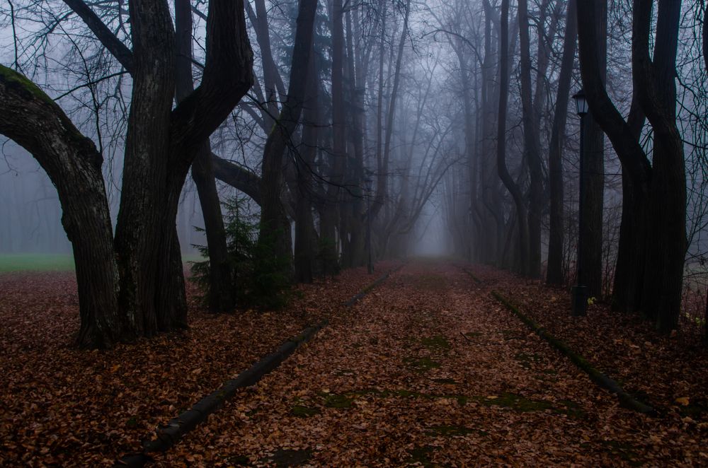 Misty alley