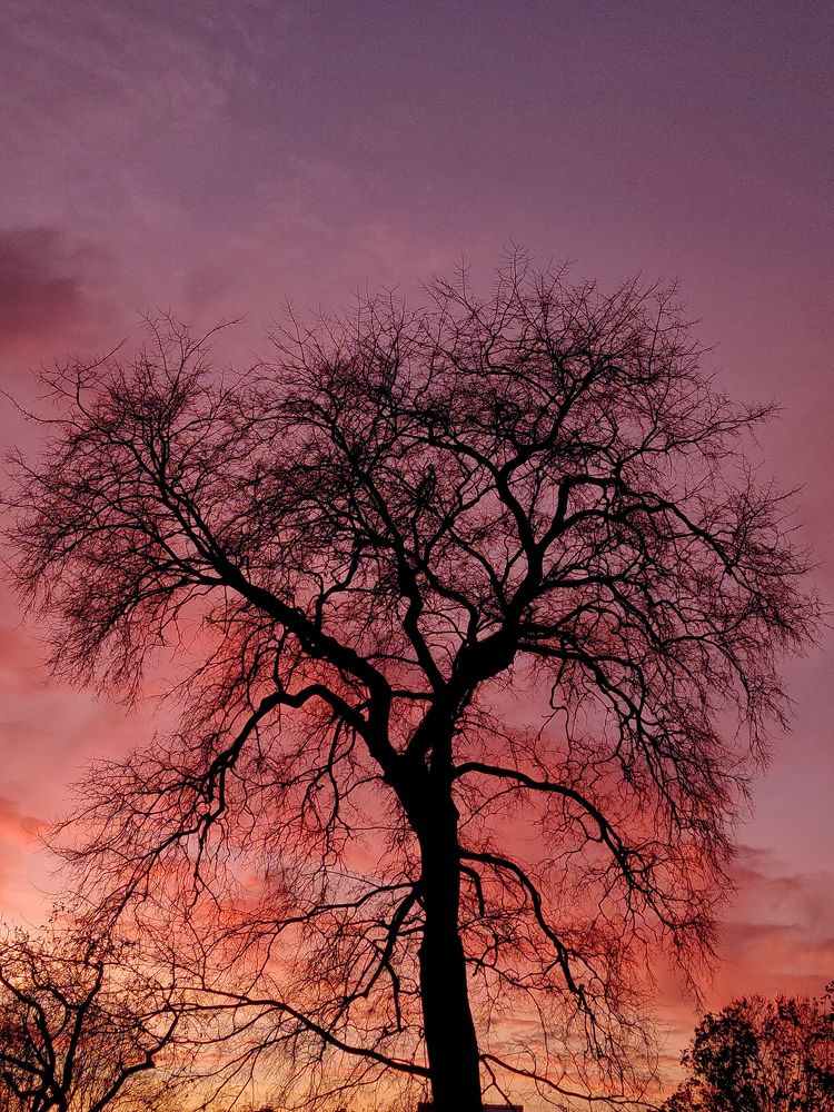 Photograph by Максим Трифонов