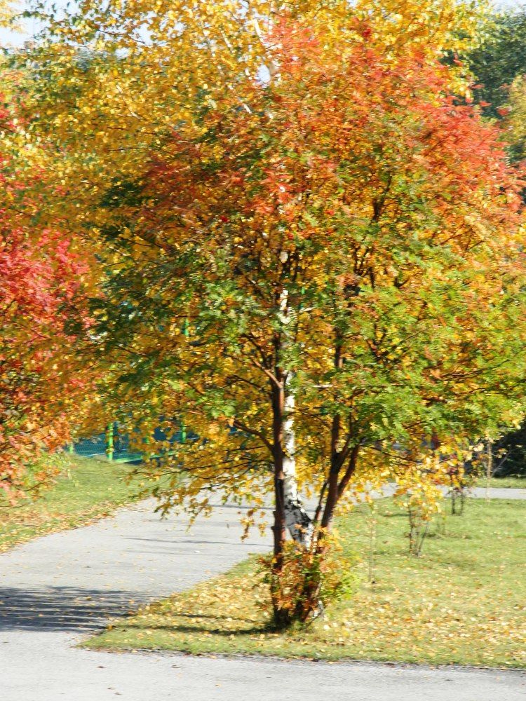 Photograph by Татьяна Гульпа