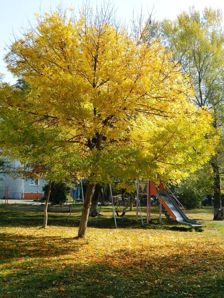 Photograph by Татьяна Гульпа