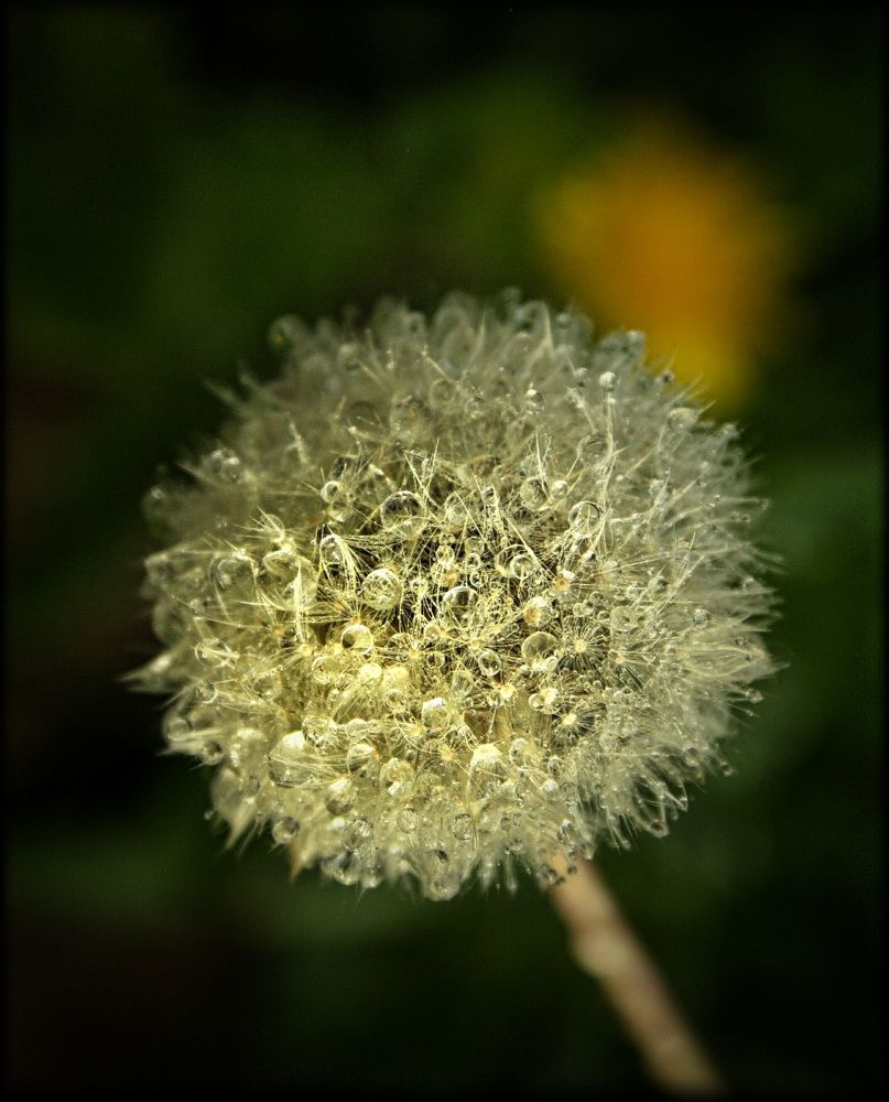 Photograph by Illés Emeric Imre