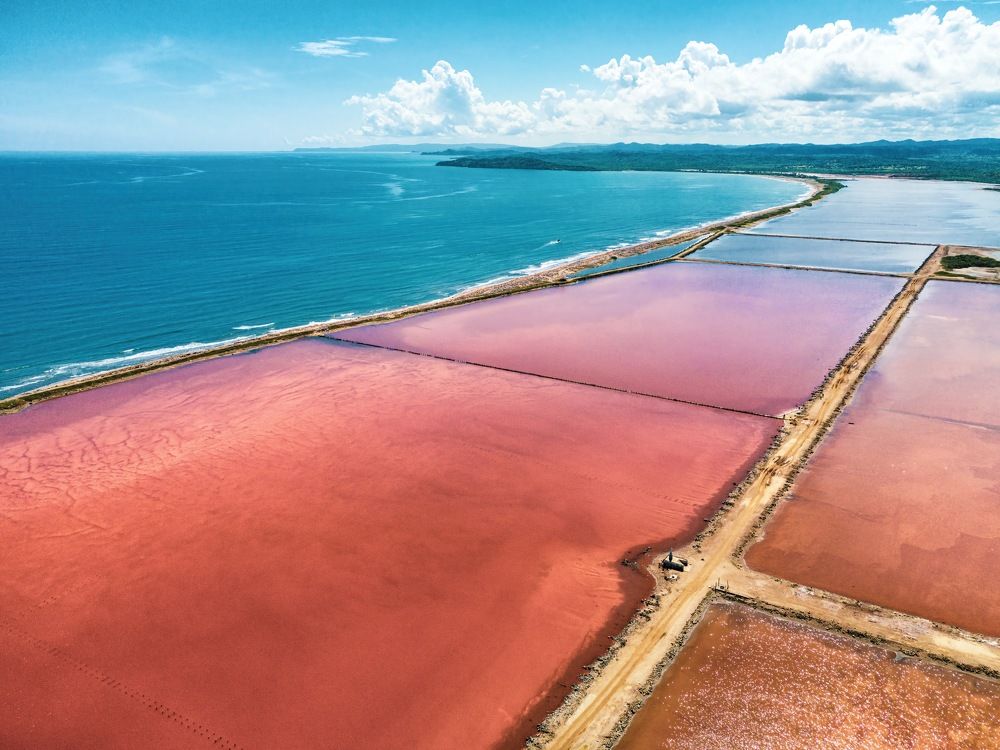 Фотография автора David Vargas