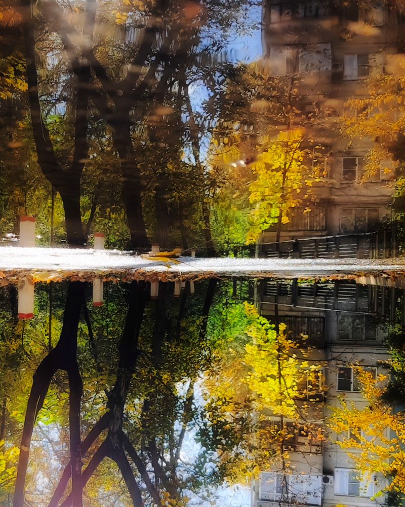 Photograph by Гельфман Галина