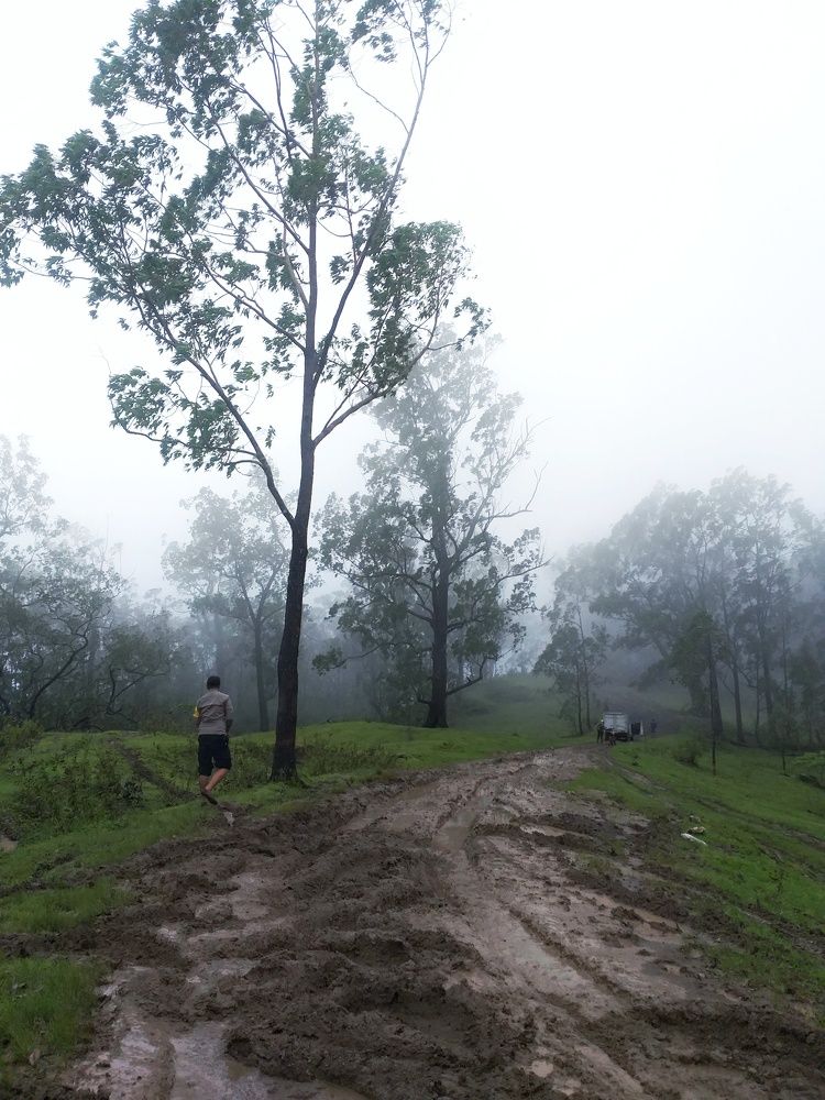 Photograph by Leni Tangmau