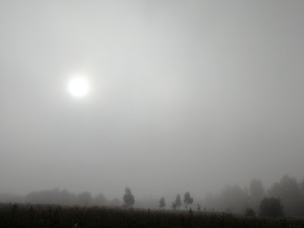 Photograph by Дарья Ермакова