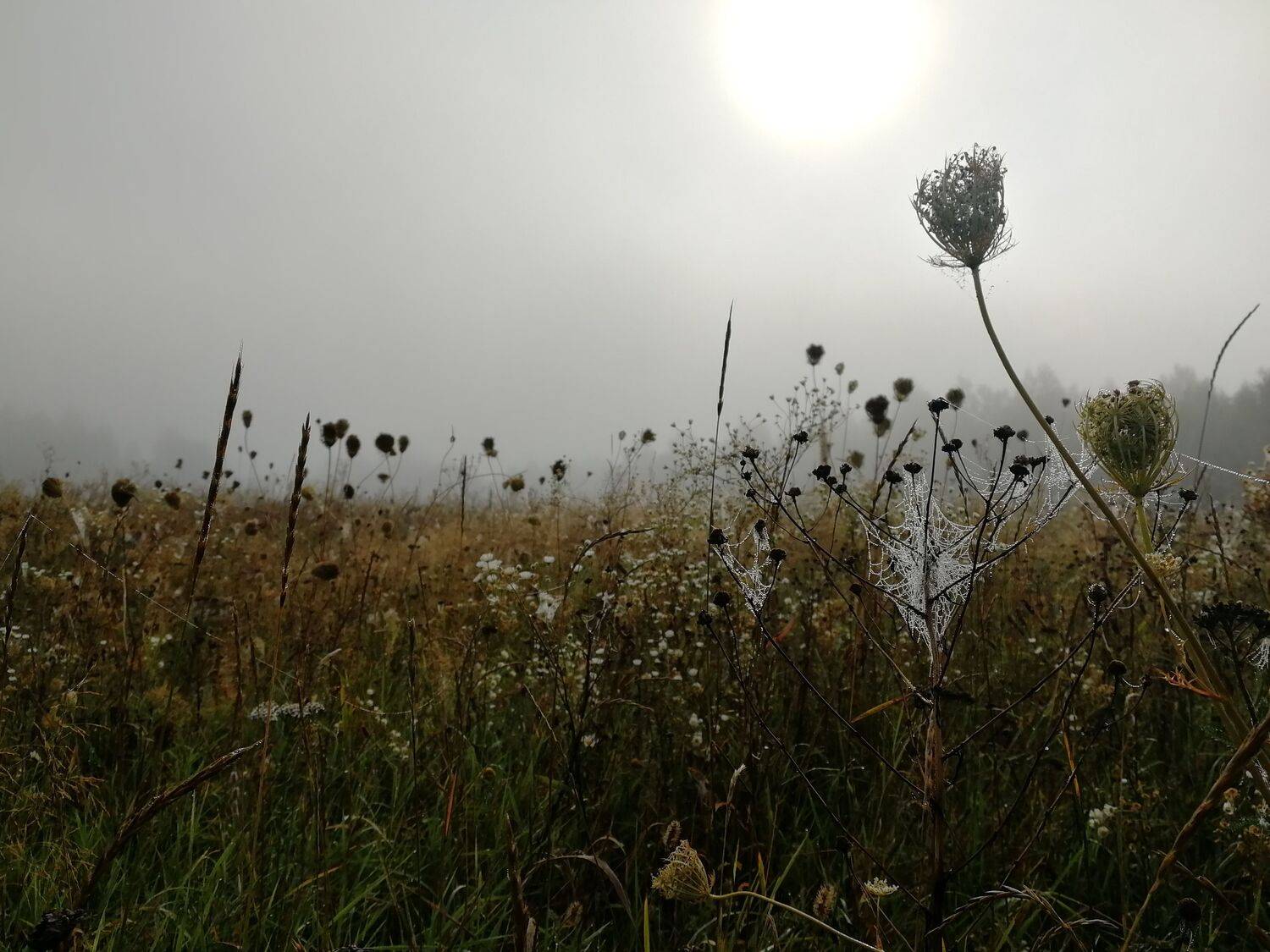 Photo #6700050