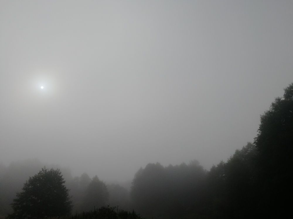 Photograph by Дарья Ермакова