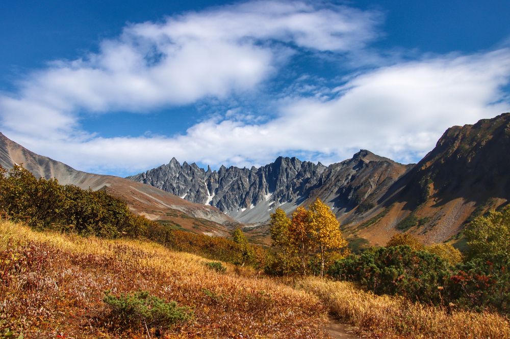 Photograph by Александр Суров