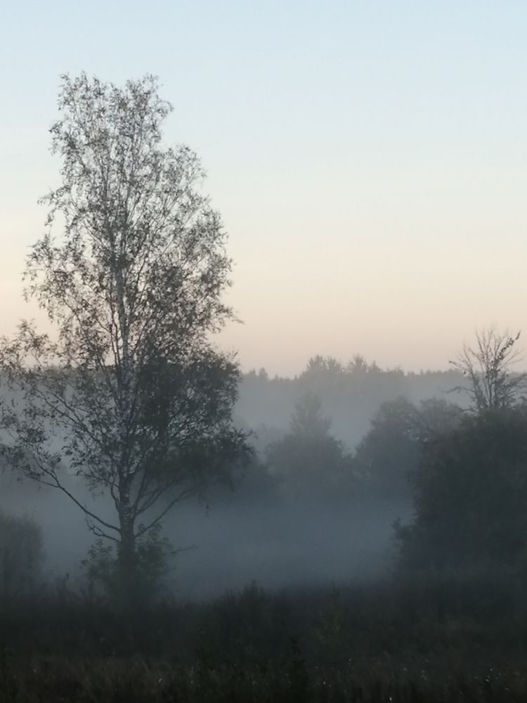 Photograph by Людмила