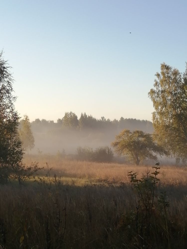 Photo #6700081
