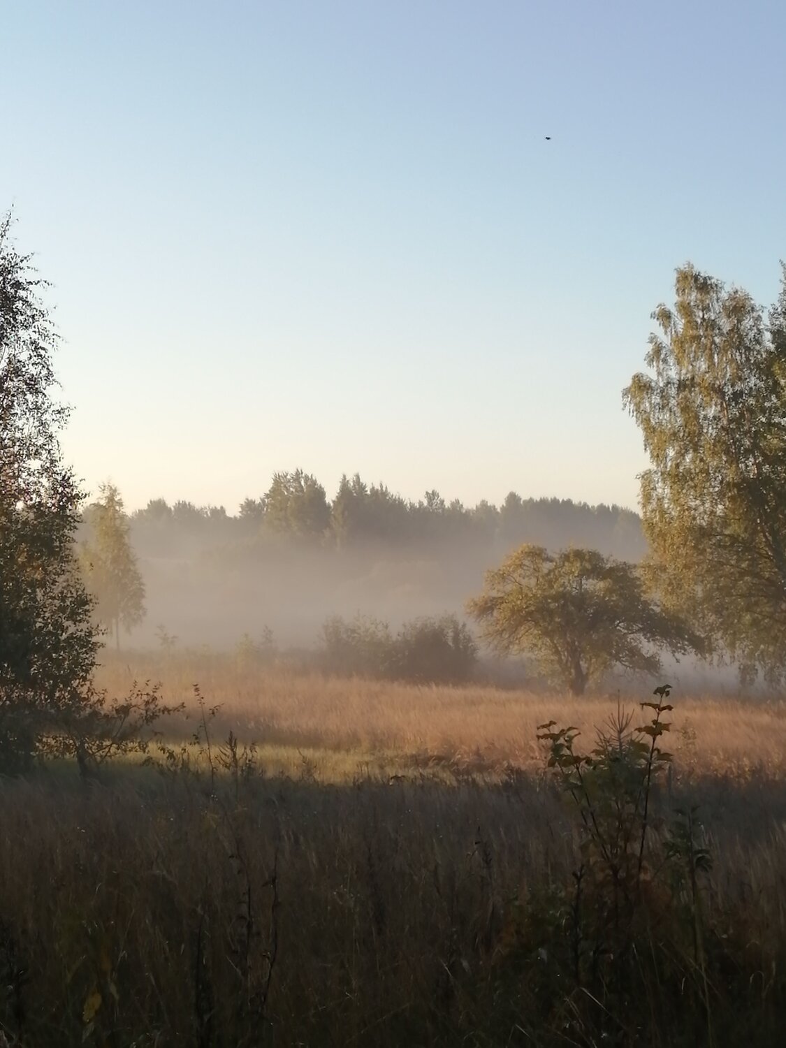 Photo #6700081