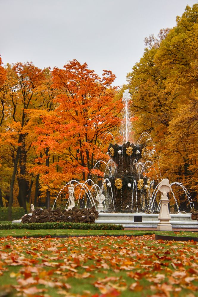 Photograph by Александр Суров