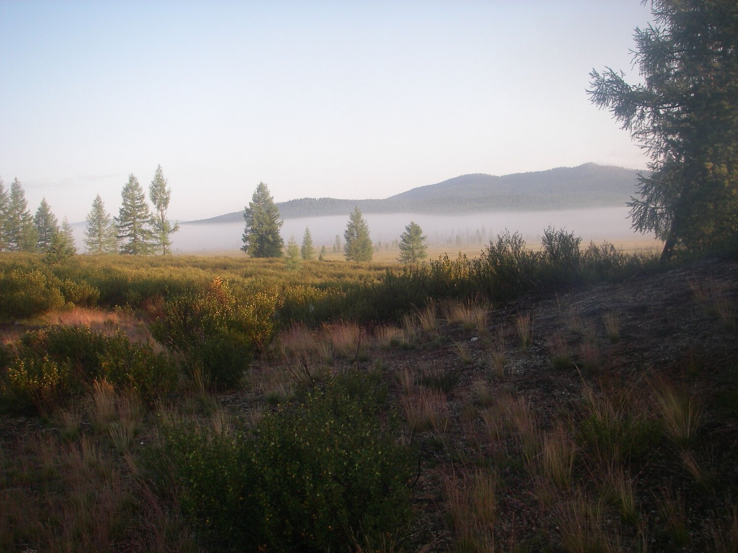 Photo #6700103