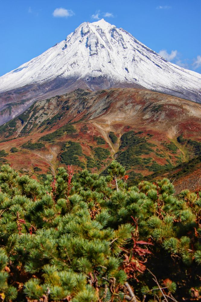 Photograph by Александр Суров