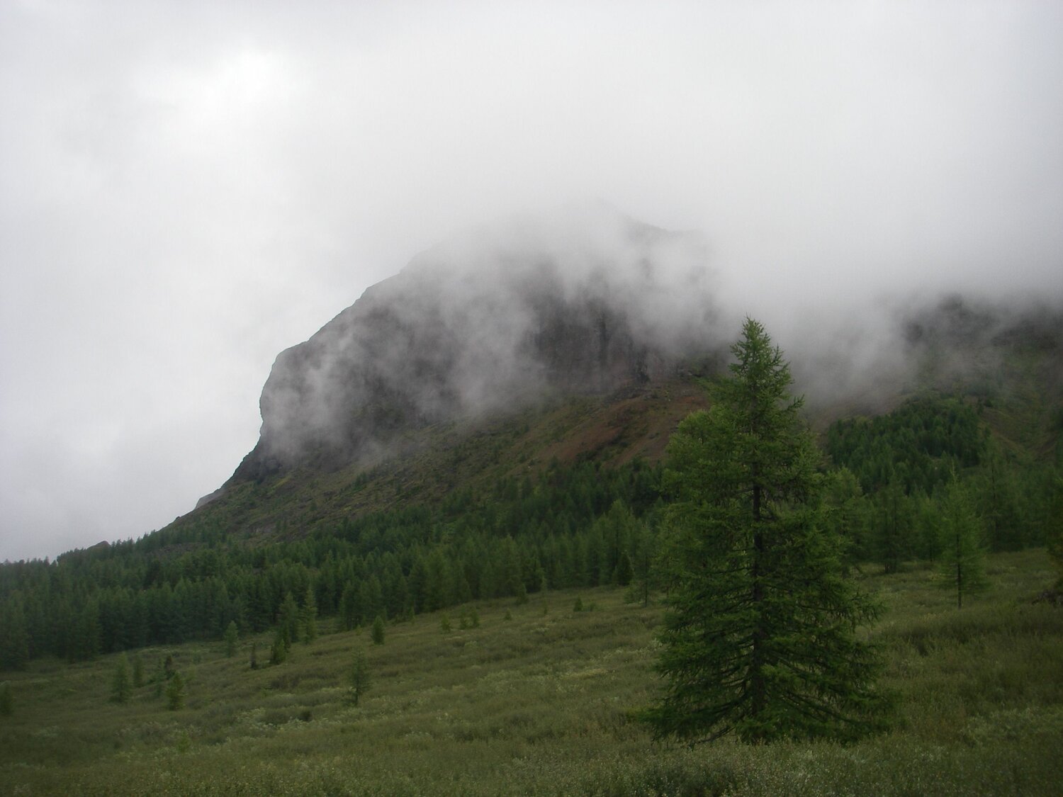 Photo #6700116