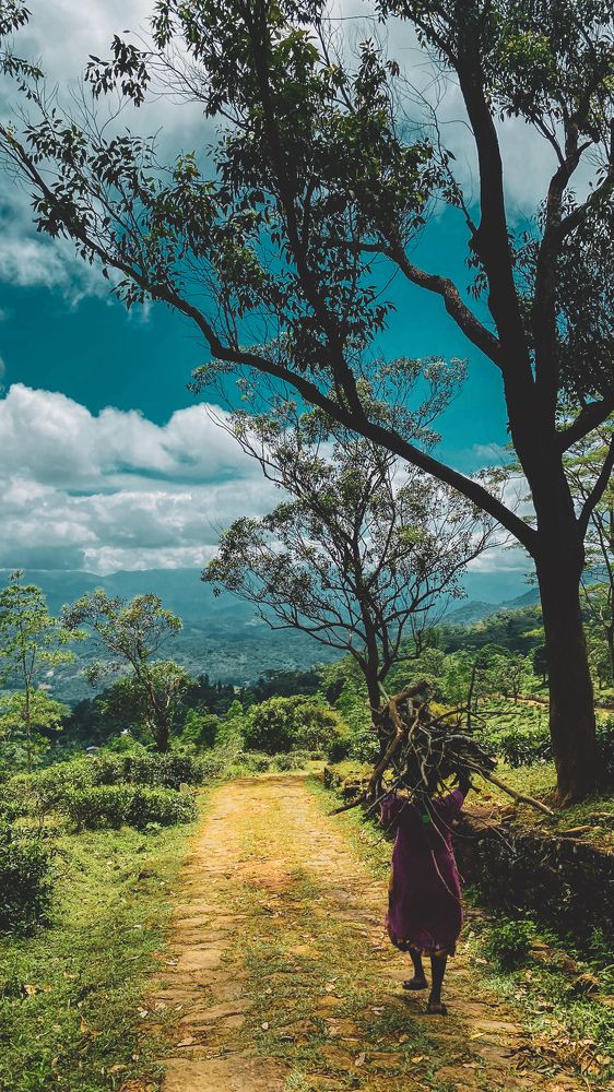 Another step for life