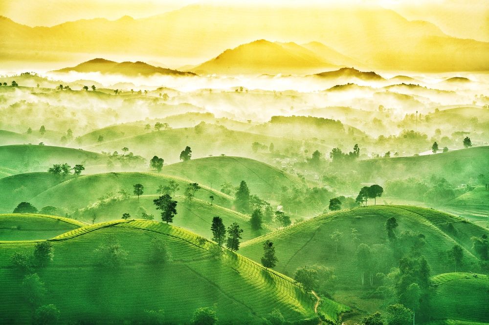 Photograph by Huong Hoang