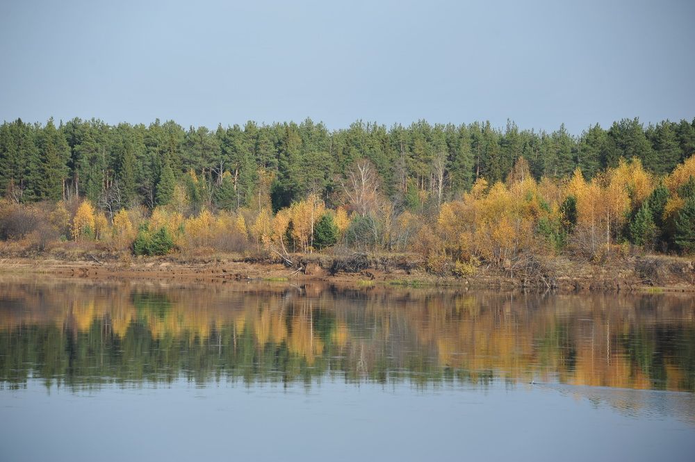 Photograph by Михаил Чепкасов