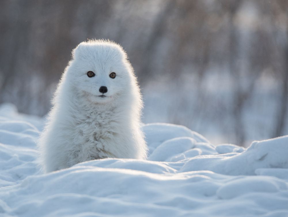 Photograph by Владимир Цветов