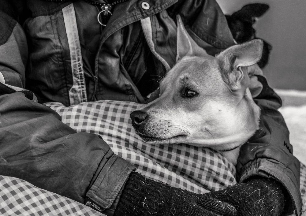 Photograph by Татьяна Титова