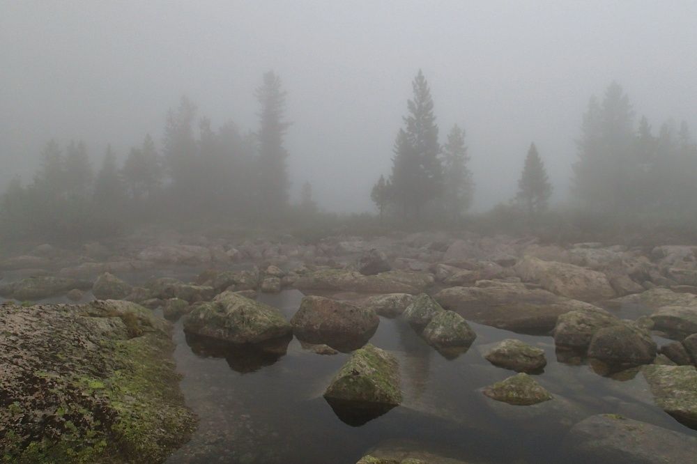 Photograph by Роман Достовалов