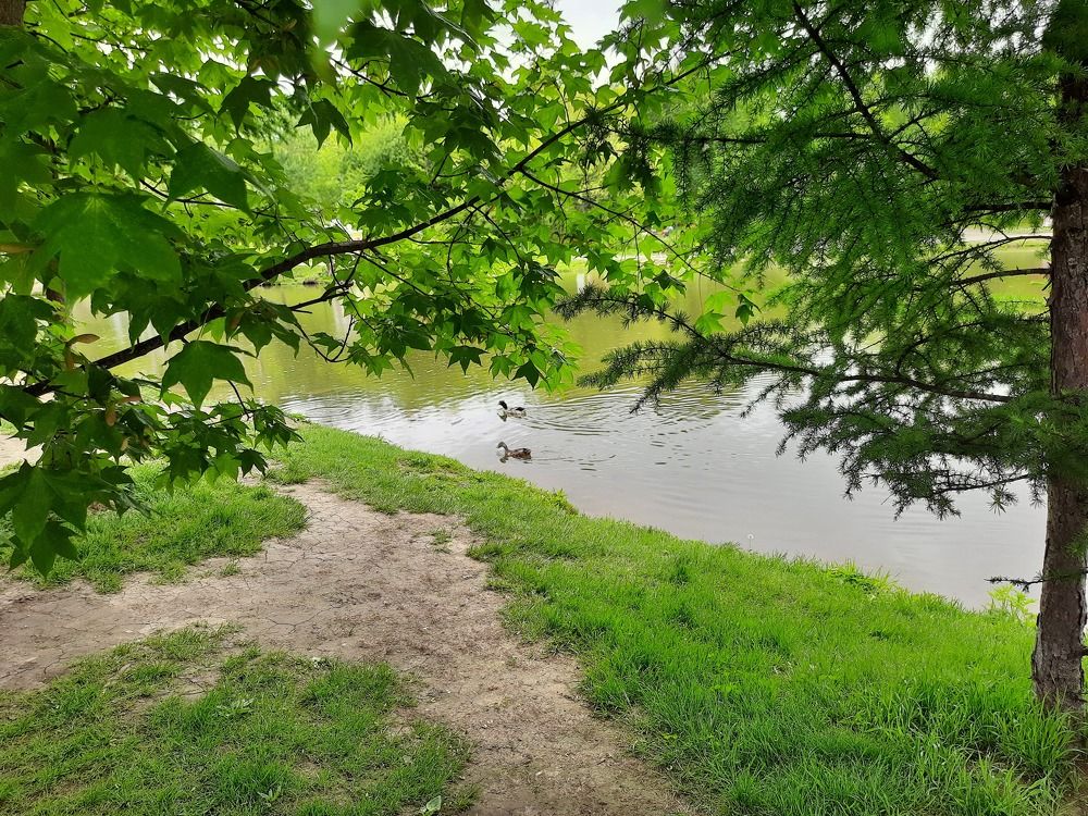 Photograph by  Людмила