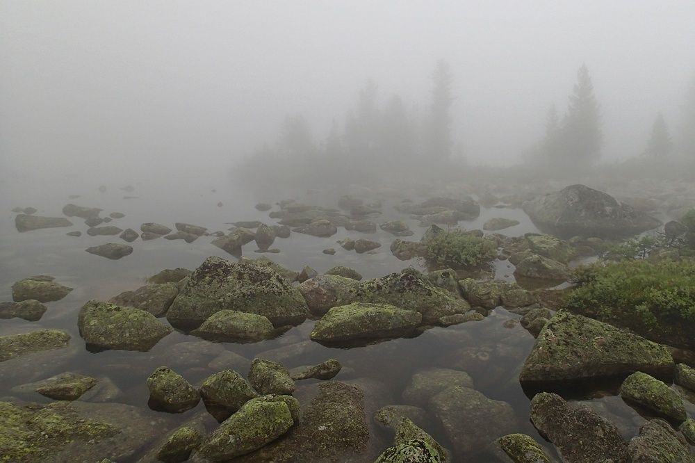 Photograph by Роман Достовалов