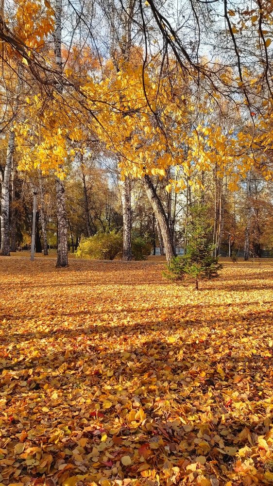 Photograph by Елизавета Дзюбак