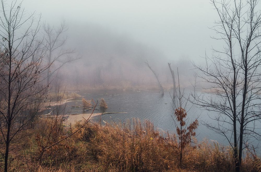 Photograph by Игорь Мелекесцев