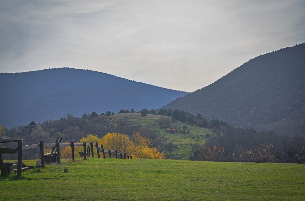 Photograph by  AlexSa