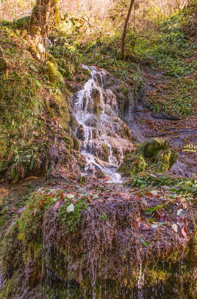 Photograph by Олег Башкуров